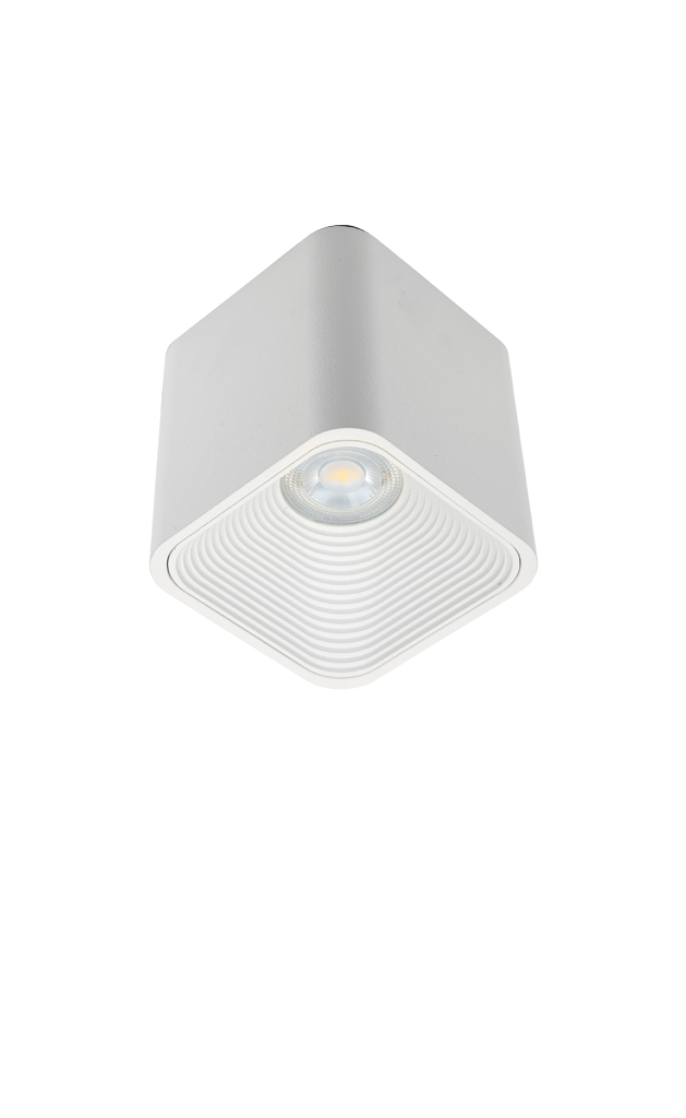 N1004 – Surface-mounted Light 13.6W, COB, 38°, 54°, 3000K